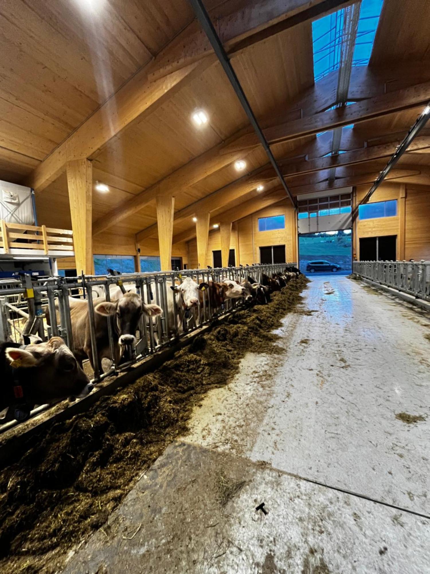 Appartamento Schusterhof Innsbruck Esterno foto