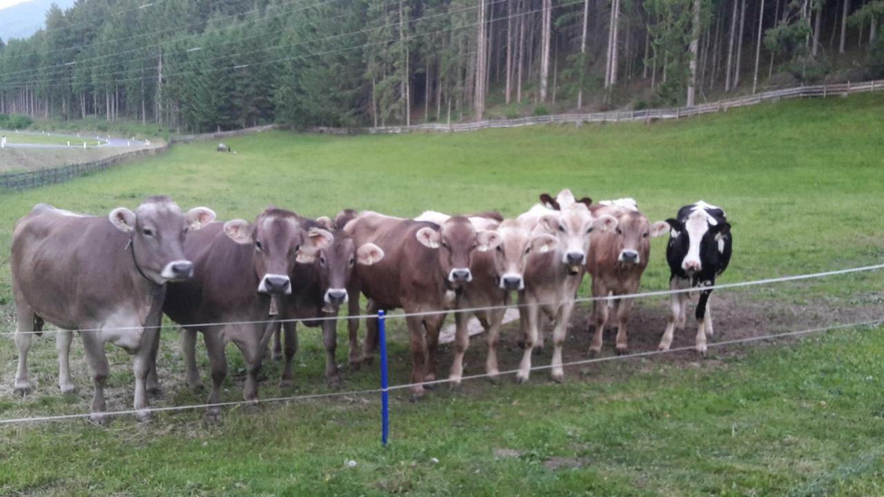Appartamento Schusterhof Innsbruck Esterno foto
